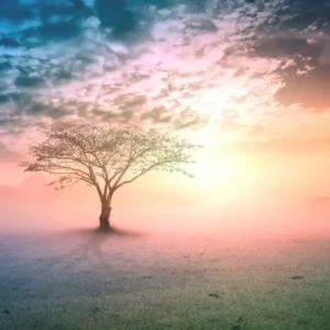 80+ Nice Quotes About Life That Inspire, Motivate, and Make You Smile