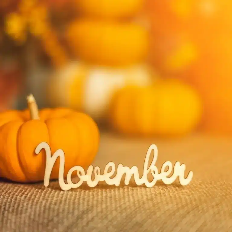 80+ November 1st Quotes