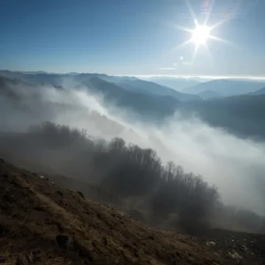 80+ Cold Morning Quotes