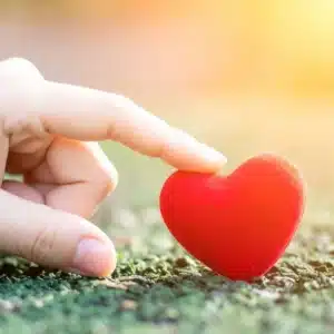 80+ Heart Touching Life Lesson Quotes That Will Inspire and Warm Your Soul
